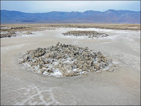 Harmony Salt Flats