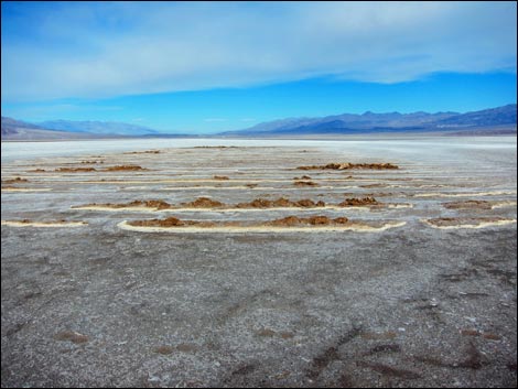 Harmony Salt Flats