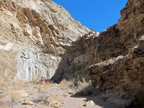 Monarch Canyon