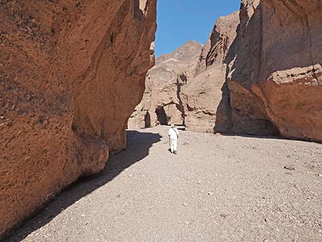 Natural Bridge Canyon