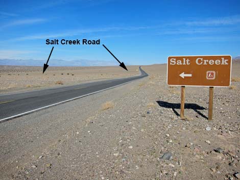 Salt Creek Boardwalk