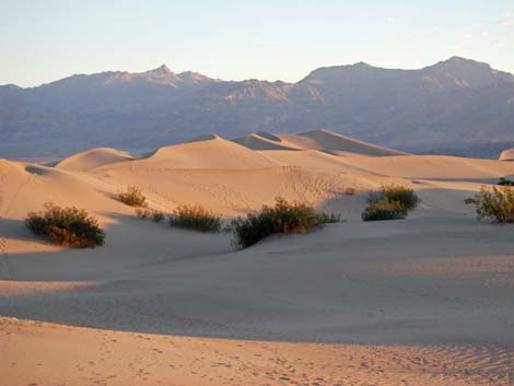 Mesquite Flat Sand Dunes