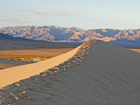 Mesquite Flat Sand Dunes