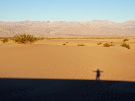 Mesquite Flat Sand Dunes