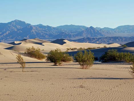 Mesquite Flat Sand Dunes