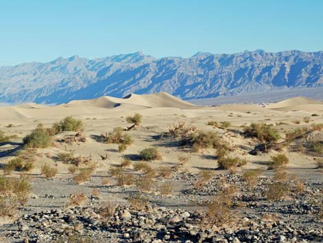 Mesquite Flat Sand Dunes