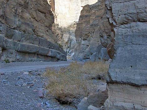 Titus Canyon Hike