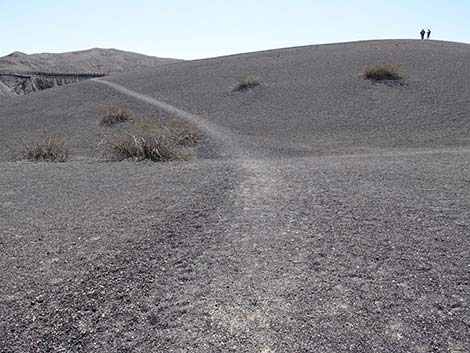 Little Hebe Crater Trail