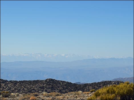 Wildrose Peak