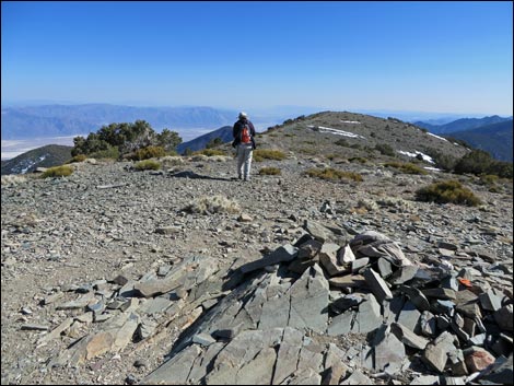 Wildrose Peak