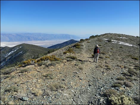 Wildrose Peak