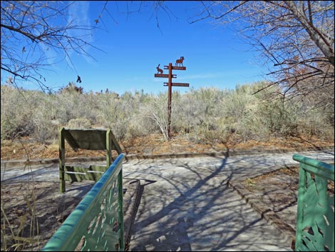 Bighorn Trail