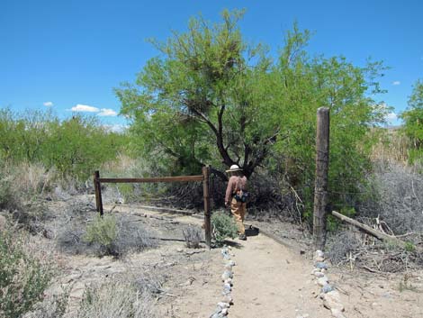 Birdsong Trail