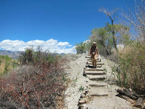 Birdsong Trail