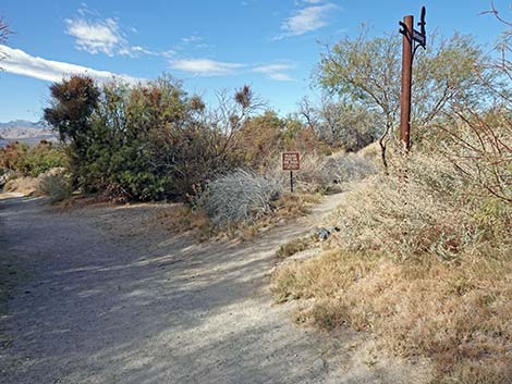 Birdsong Trail