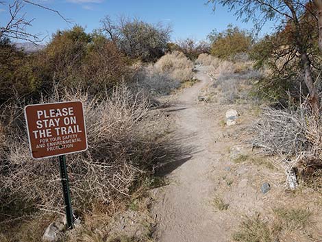 Birdsong Trail 