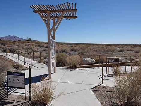 Jackrabbit Loop Trail