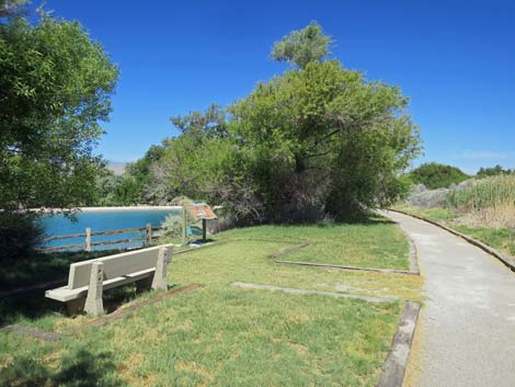 Birdsong Trail