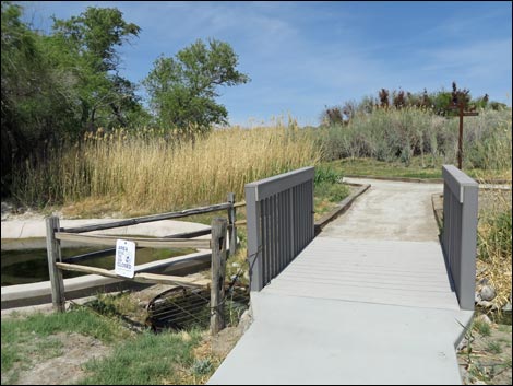 Birdsong Trail