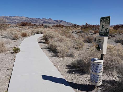 Jackrabbit Loop Trail