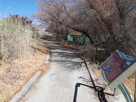 Jackrabbit Loop Trail