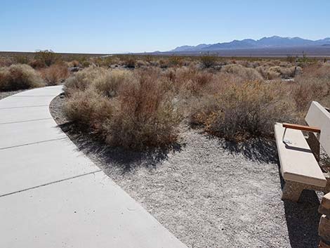 Jackrabbit Loop Trail