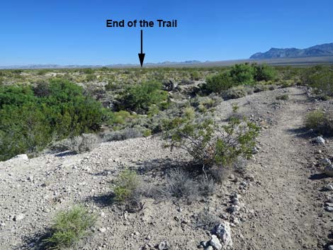 Whispering Ben Trail