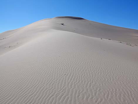 Desert Dry Lake Dunes