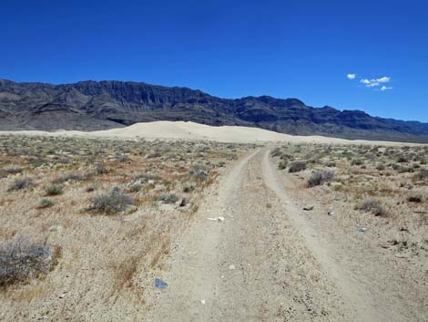 Desert Dry Lake Dunes