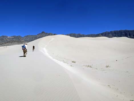 Desert Dry Lake Dunes