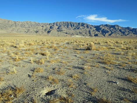 Desert Dry Lake Dunes