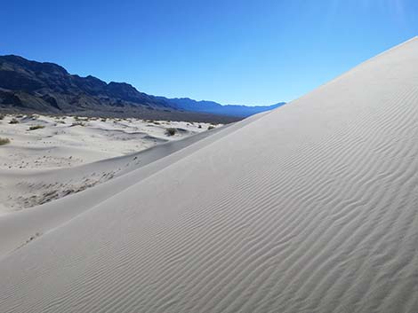 Desert Dry Lake Dunes