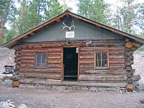 Hidden Forest Cabin