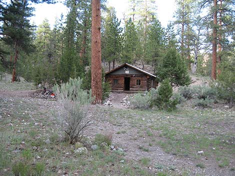 Hidden Forest Cabin