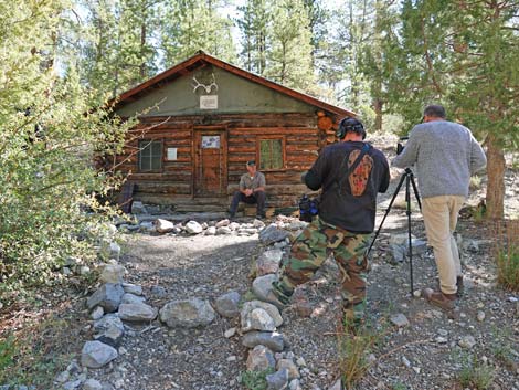 Hidden Forest Cabin Grounds