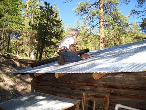 Hidden Forest Cabin Restoration