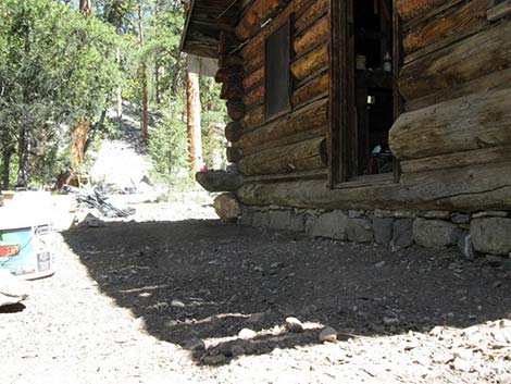 Hidden Forest Cabin