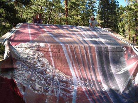 Hidden Forest Cabin