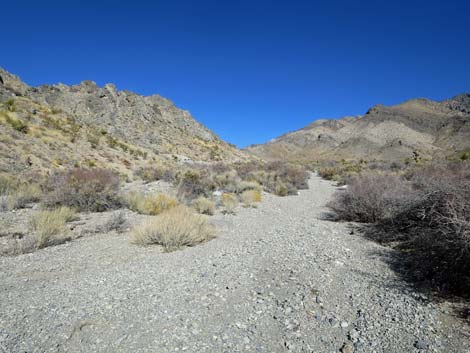 Joe May Canyon Guzzler