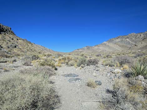 Joe May Canyon Guzzler