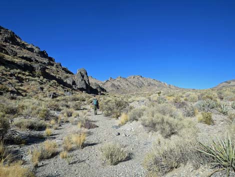 Joe May Canyon Guzzler