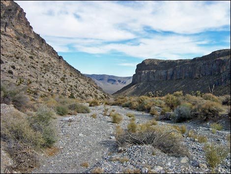 Long Canyon