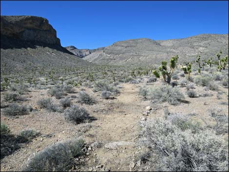 Long Canyon