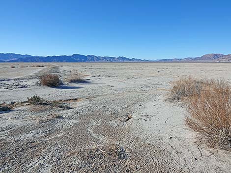 Desert Dry Lake Corral