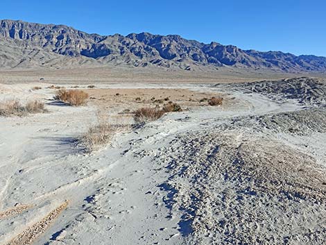 Desert Dry Lake Corral