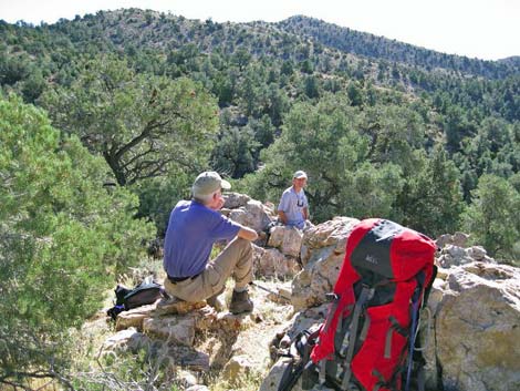 Quartzite Mountain