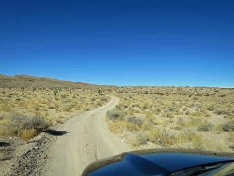 Alamo-Badger Connector Road