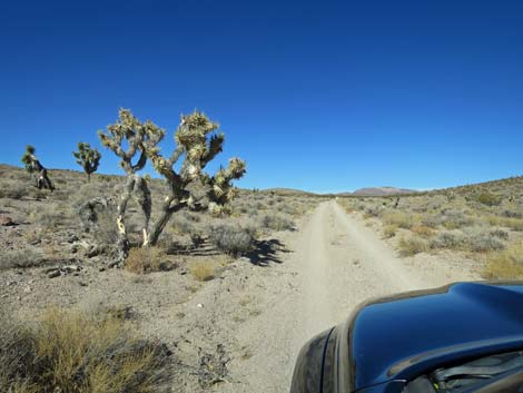 Alamo-Badger Connector Road