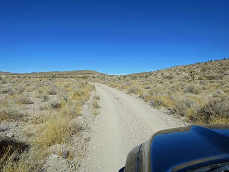 Alamo-Badger Connector Road