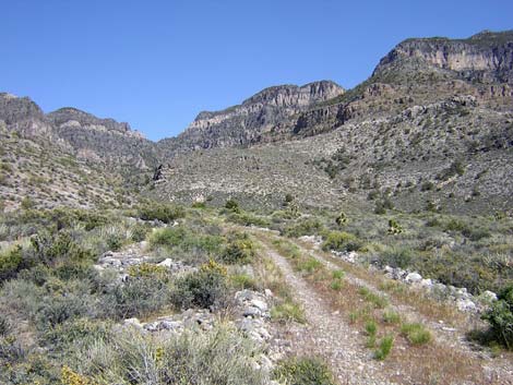 Cabin Spring Road